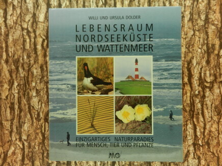 DSCN5456